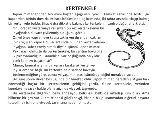 Hikaye Örnekleri Hikaye Örnekleri