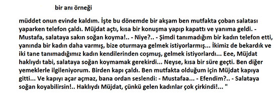 An rnekleri