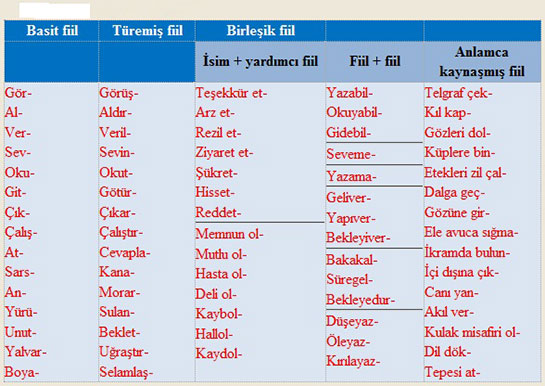 Fiil rnekleri