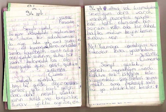 Günlük Örnekleri Türleri ve Özellikleri