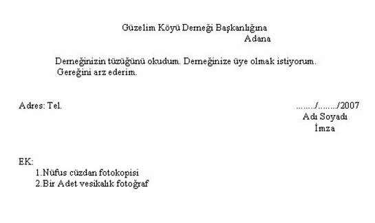 Örnek Dilekçe Dikkat Etidelecek Hususlar