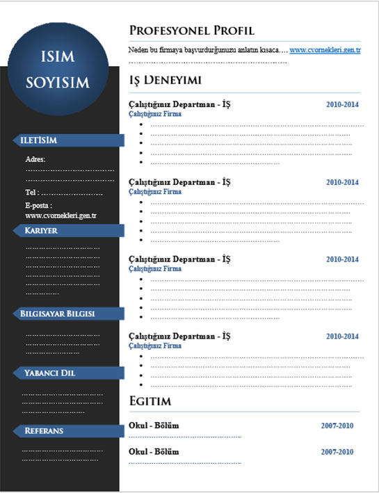 Profesyonel Cv rnekleri